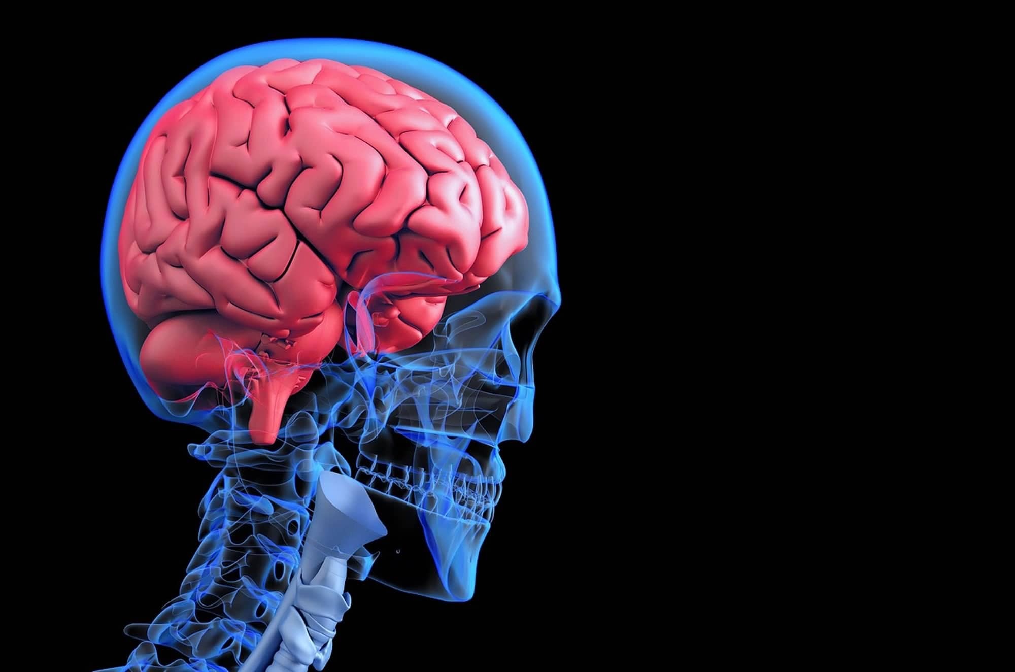 Wat is Google RankBrain?